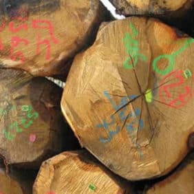 Marcación y señalización forestal