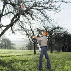 Podadoras de altura Stihl