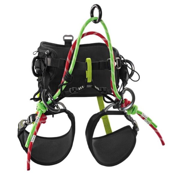 edelrid tree rex II